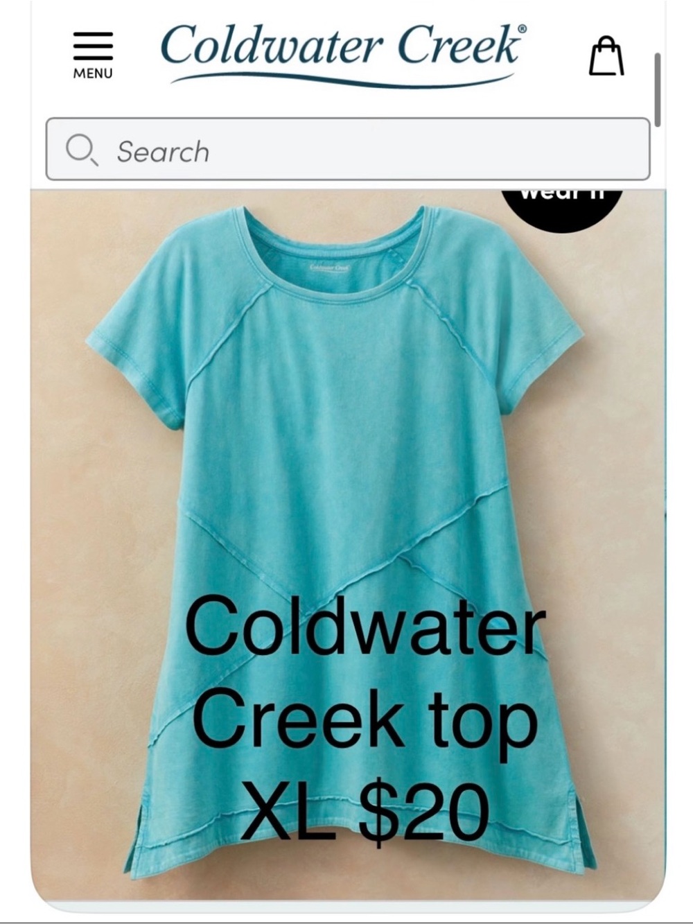 Coldwater Creek Aqua Short Sleeve Tunic